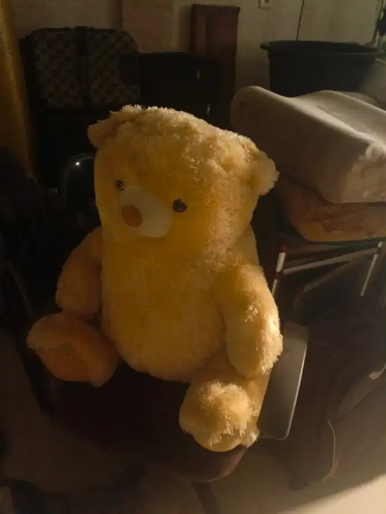Boneka teddy bar