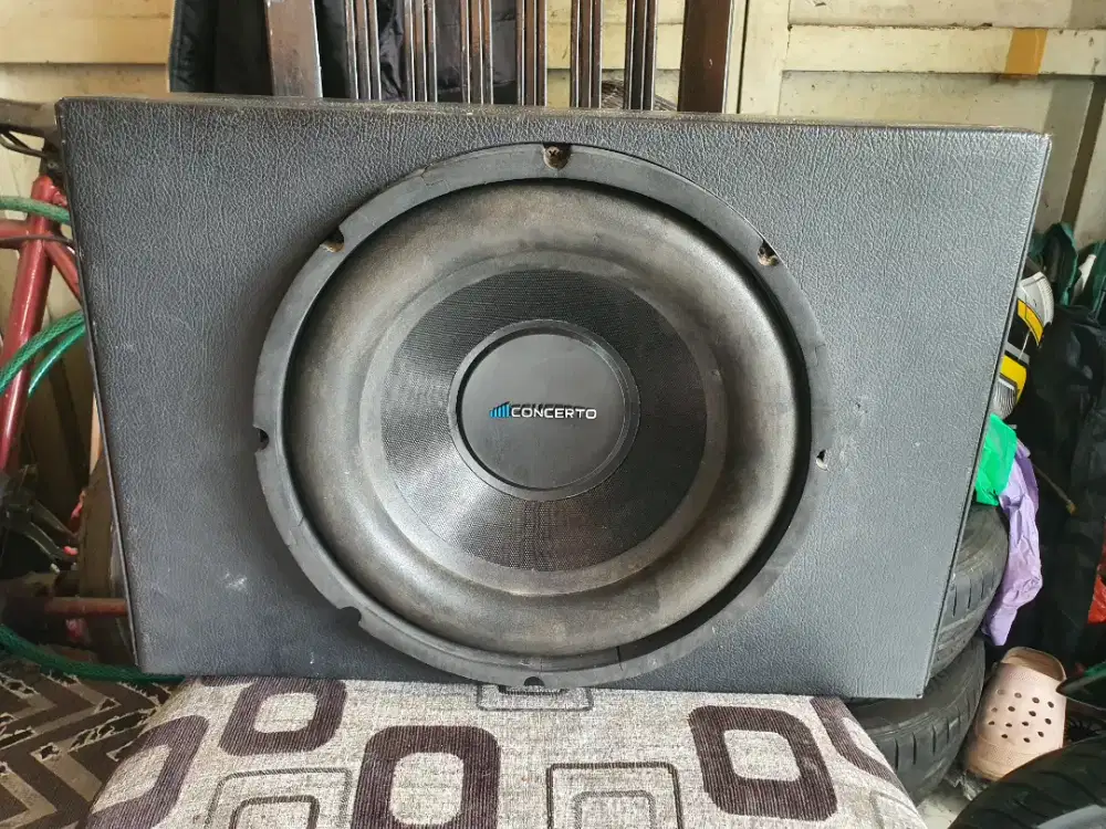 Subwoofer 12 inch