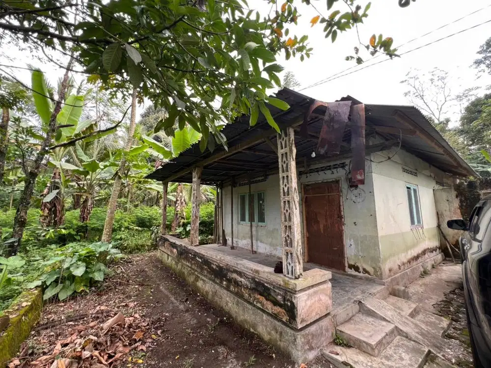 Jual Tanah Murah Blitar 1590m² Bonus Rumah & Kebun Durian Gandusari
