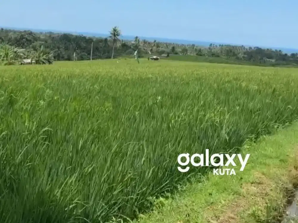 DIJUAL TANAH ANTOSARI TABANAN