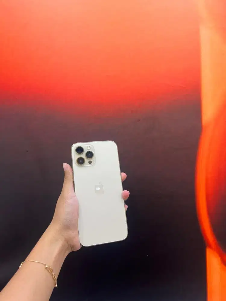 IPHONE 12 PM 128GB ALLOP bisa cek sepuasnya