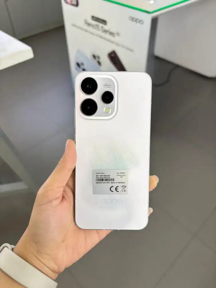 CICILAN HANDPHONE BUNGA RINGAN