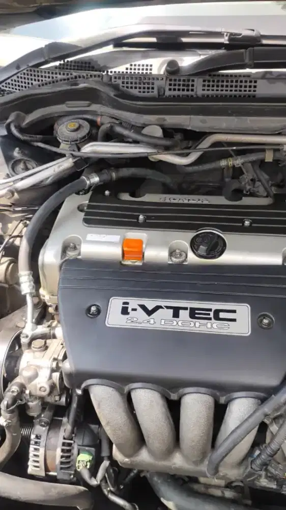 Jual Accord mulus pemakaian pribadi