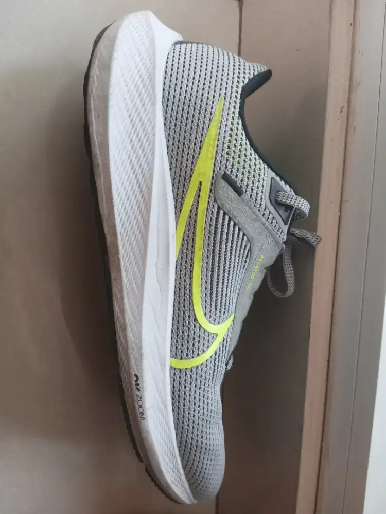 Nike Running pegasus 40