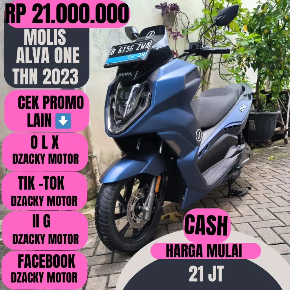 MOLIS ALVA ONE THN 2023