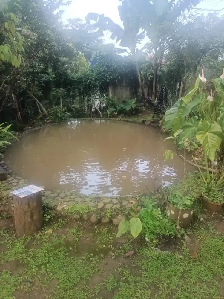 Di jual cepat vila +kolam ikan