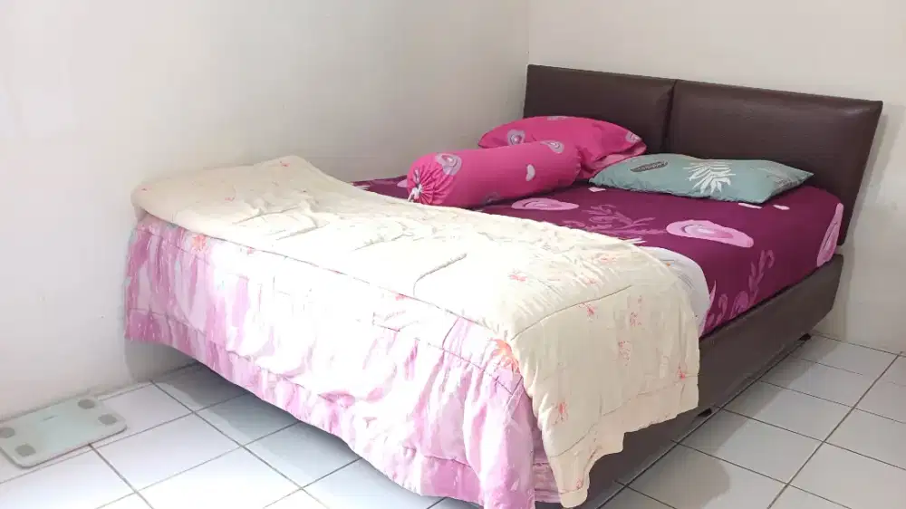 Kasur Springbed Divan 180x200