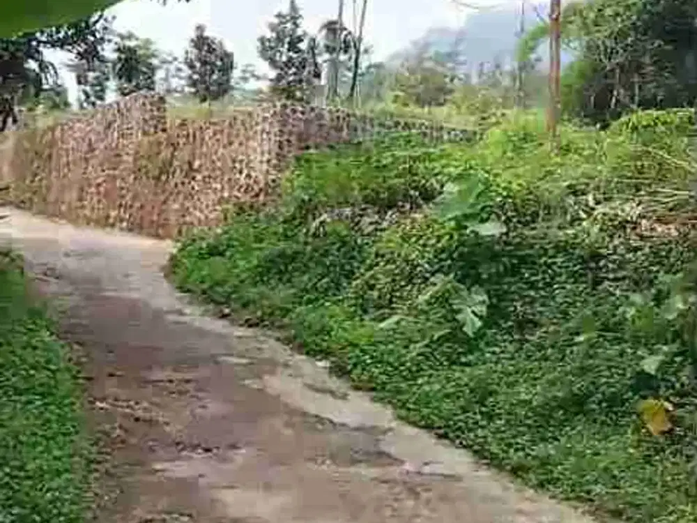 Di jual tanah perkebunan harga murah trawas