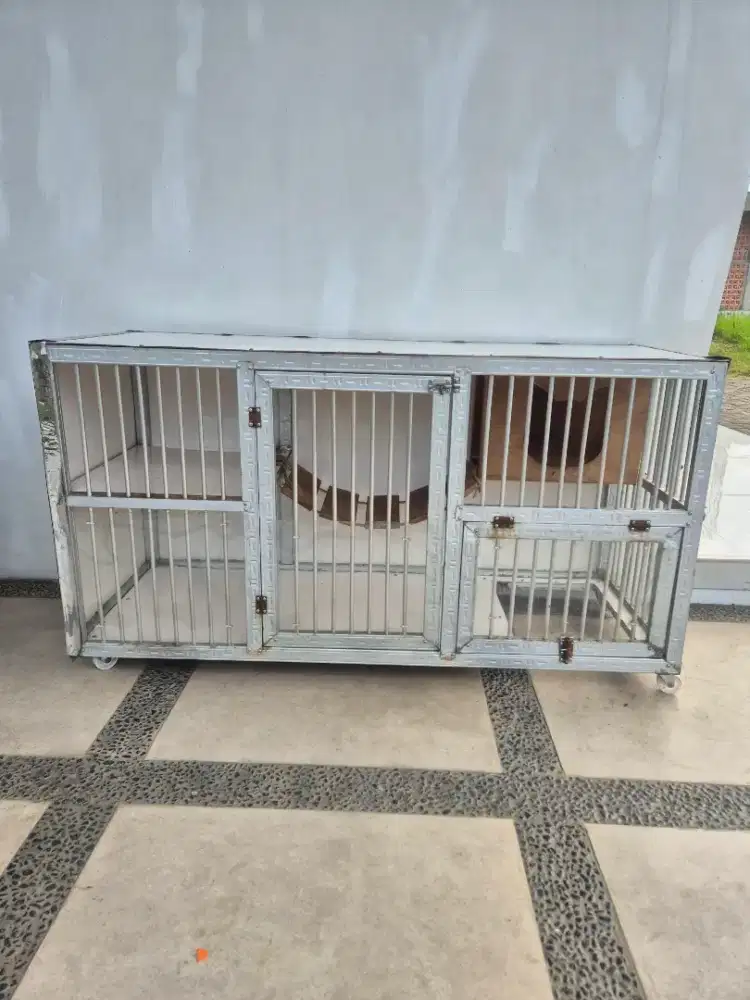 Kandang Kucing Galvanis