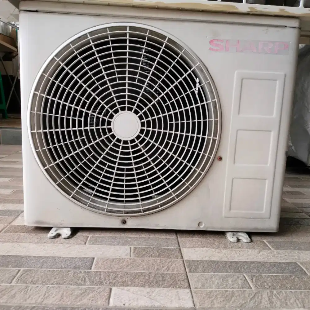 Ac sharp 1 pk au a9say thailand