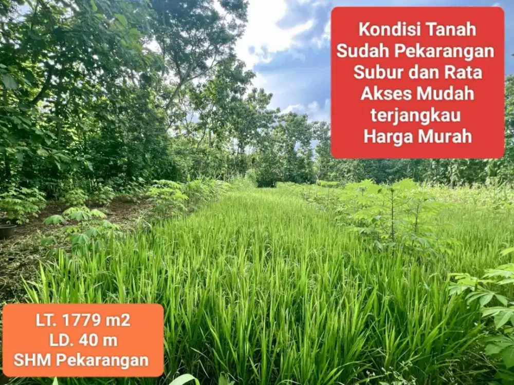 Jual Tanah di Bejiharjo wisata goa pindul Gunung Kidul