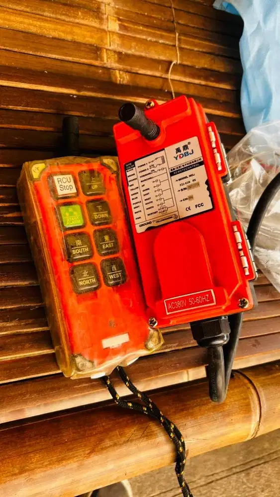 Remote hoist crane