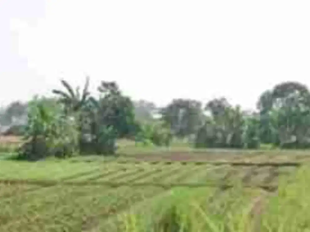 di jual tanah lokasi strategis cocok untuk di jadikan perumahan