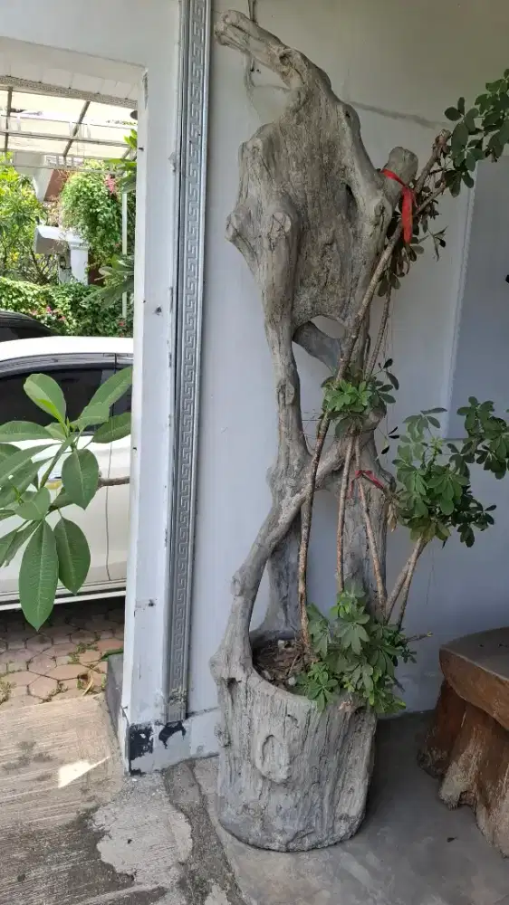 Batu taman pot bunga tinggi 2m