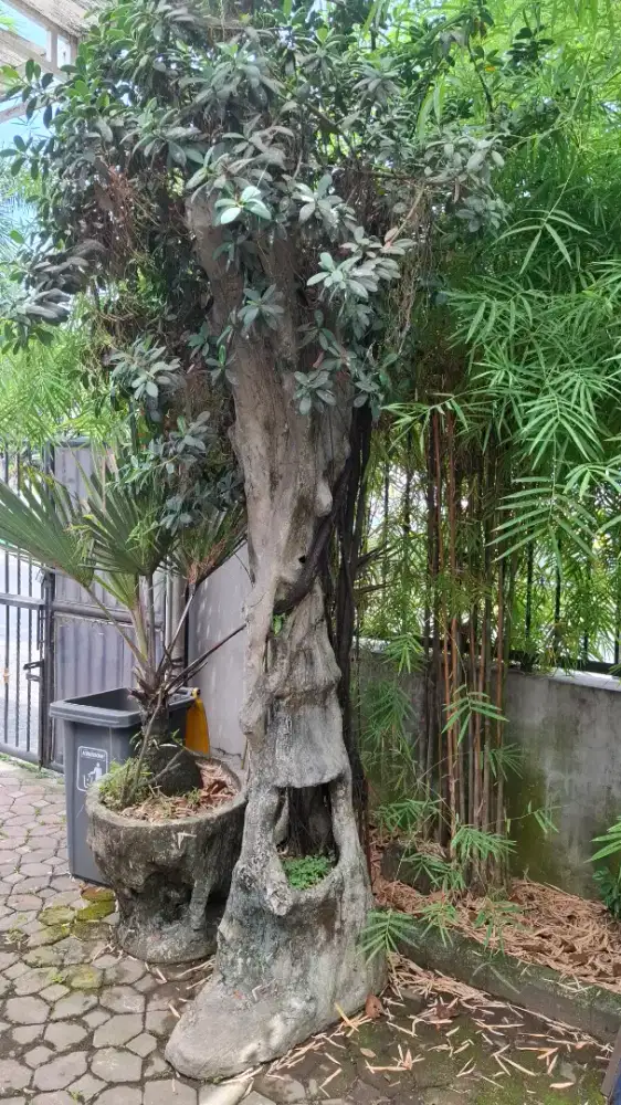 Batu taman hias sekalian pot bunga