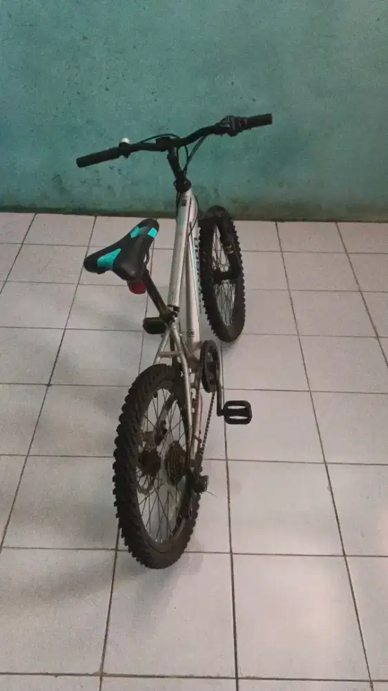 Sepeda Polygon Maze M20