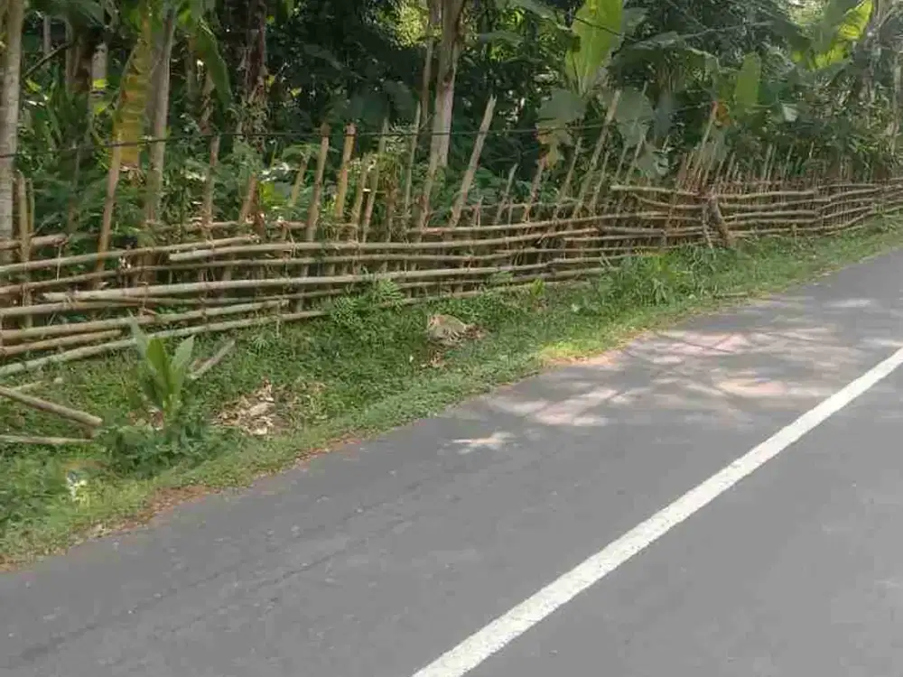 Tanah Pinggir Jalan Raya, Tegalwaru, Purwakarta.