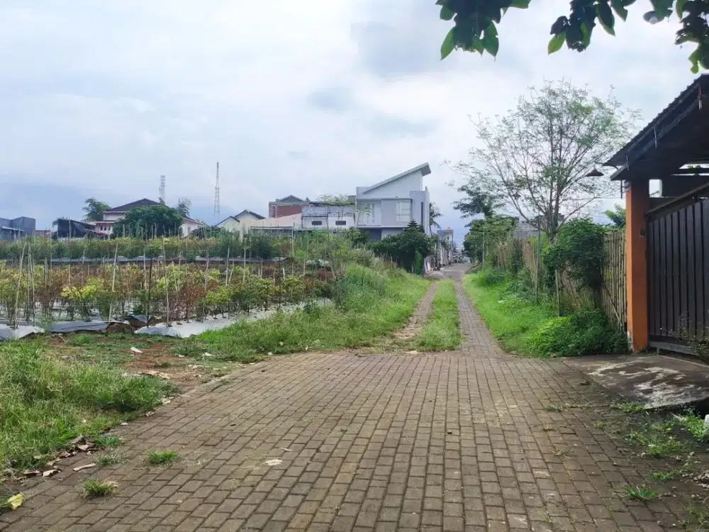 Tanah Kota Malang Merjosari 200 Juta an dekat UB dan UMM