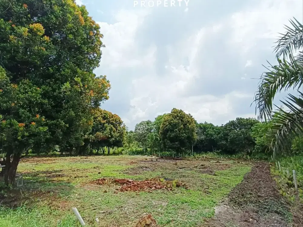 TANAH HARGA DIBAWAH NJOP SIAP BANGUN DI SIMPANG TIGA JL. TORGANDA - PEKANBARU