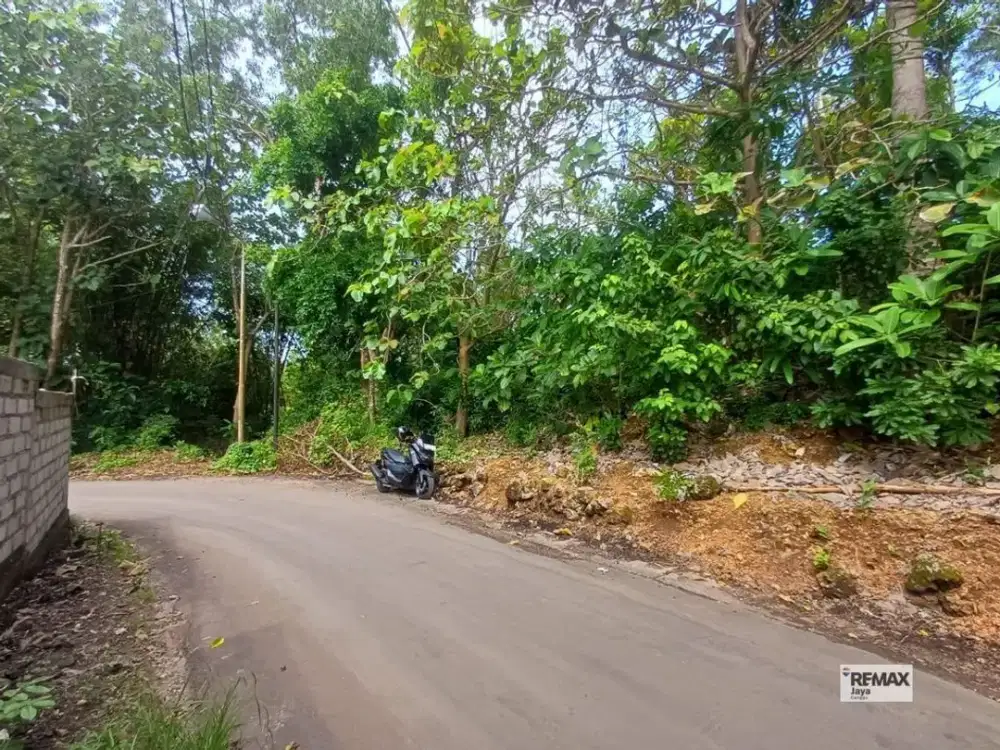 Beautiful 50 Are Land For Lease, In Nyang Nyang, Pecatu Area