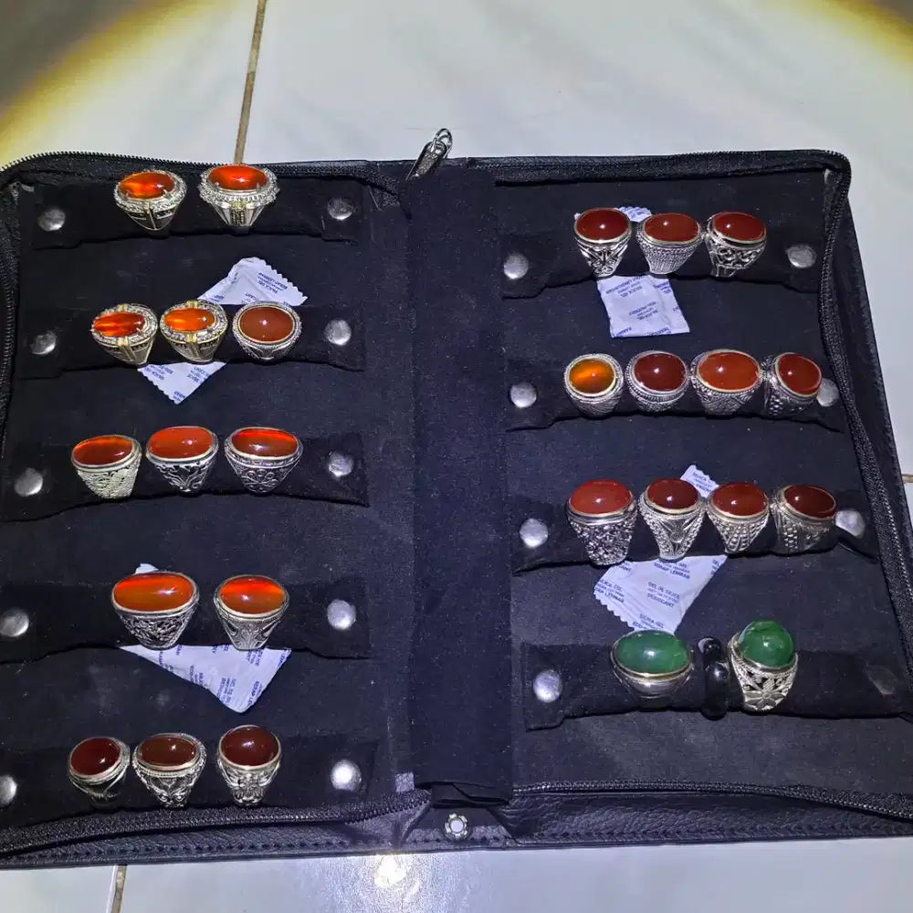 50 batu raflesia bengkulu