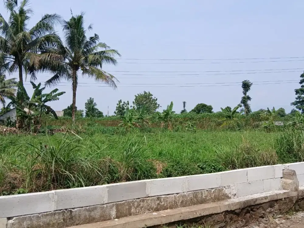 Kavling Investasi 9 Menit Stasiun Cilebut Free SHM