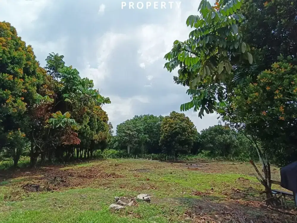 DIJUAL CEPAT TANAH HARGA DIBAWAH NJOP SIAP BANGUN DI SIMPANG TIGA JL. TORGANDA - PEKANBAR