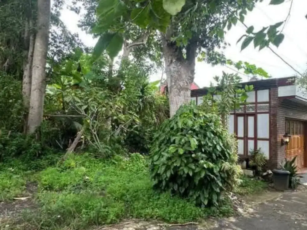 DIJUAL TANAH BELIMBING SARI PECATU BADUNG