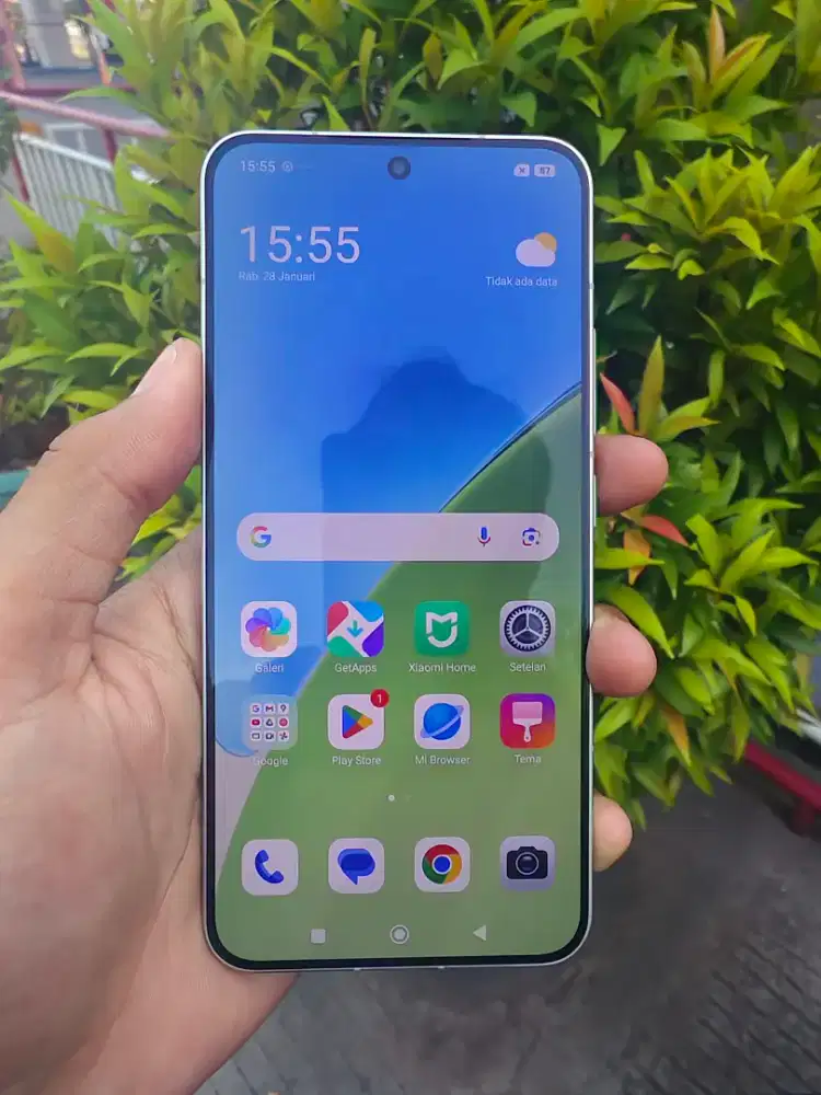 Xiaomi 15 12/256