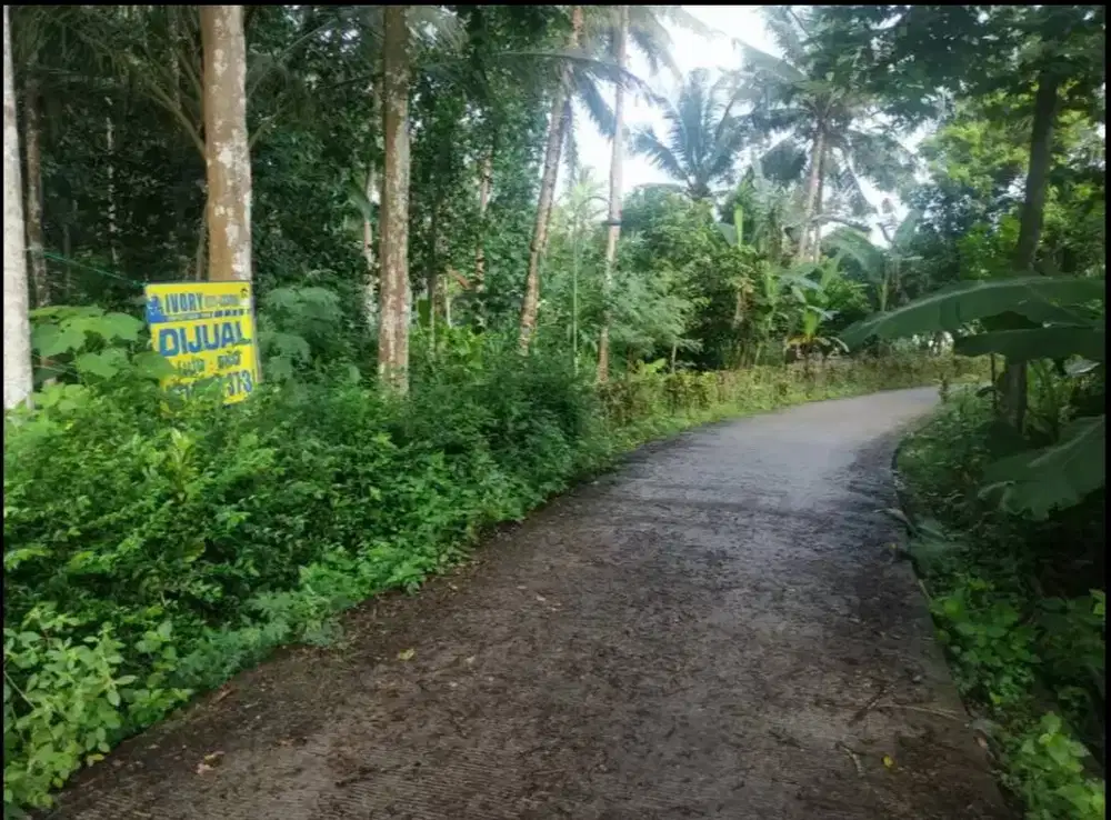 Tanah Dijual Barat Bandara Internasional NYIA Kulon Progo