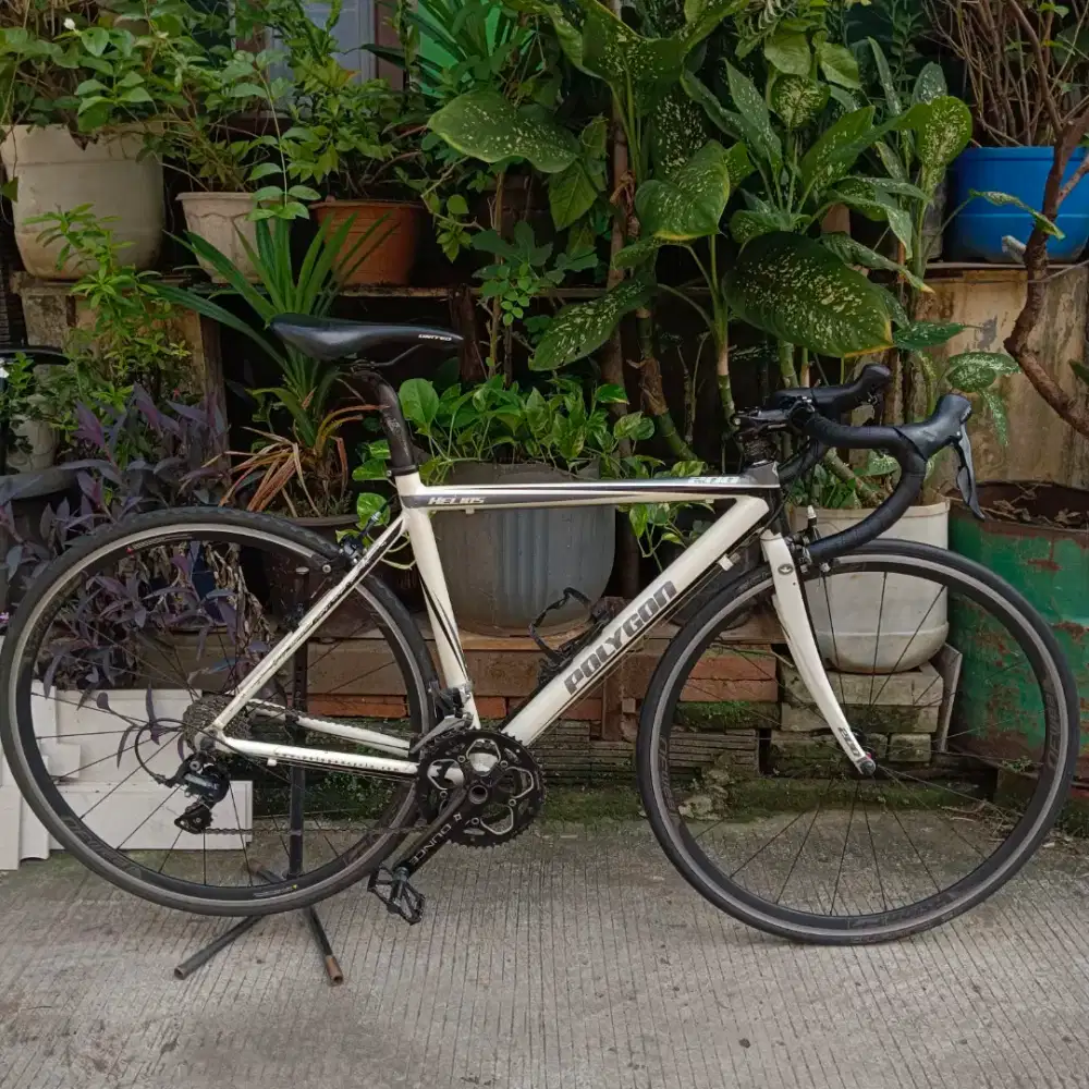 SEPEDA BALAP ROADBIKE POLYGON HELIOS 200 SIZE 50 S UPGRADE