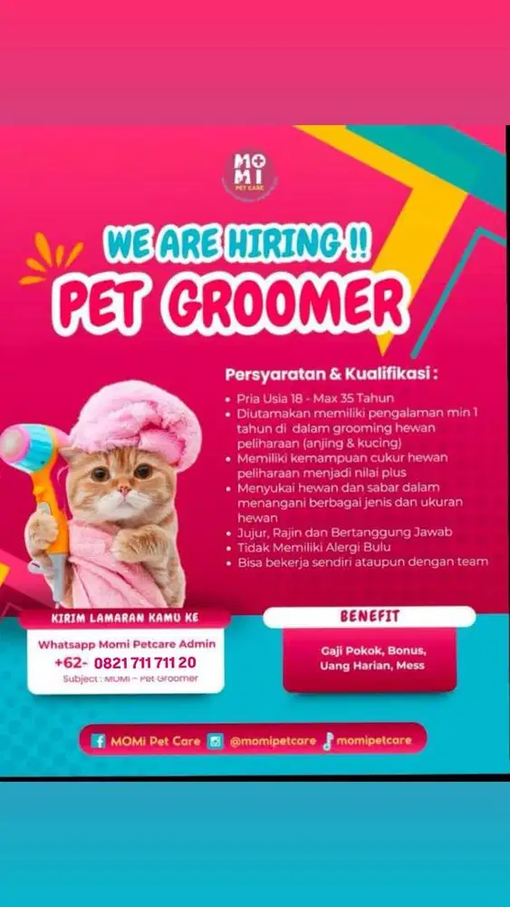 LOWONGAN KERJA PET GROOMER - MOMI PETCARE