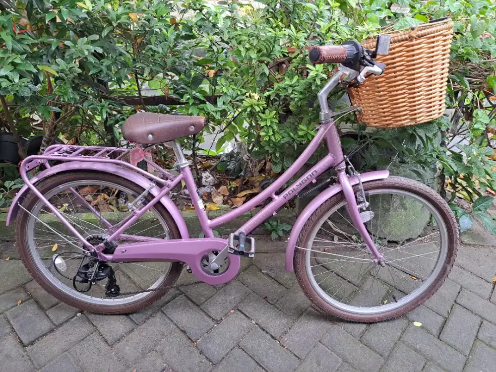 SEPEDA POLYGON OOSTEN 24 PINK