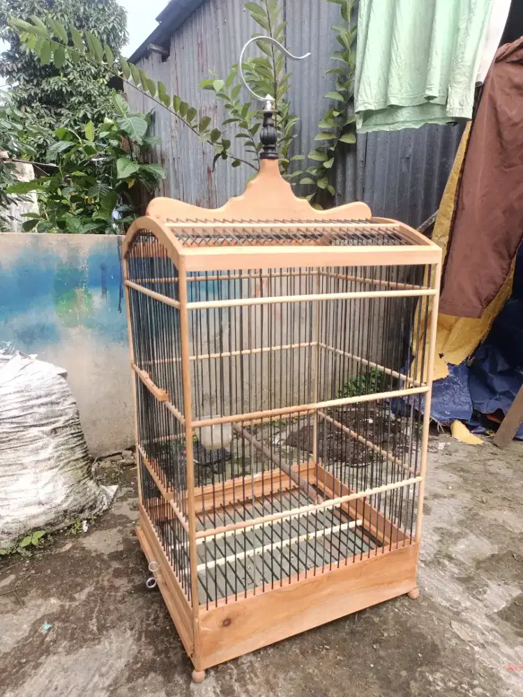 Sangkar burung no 2