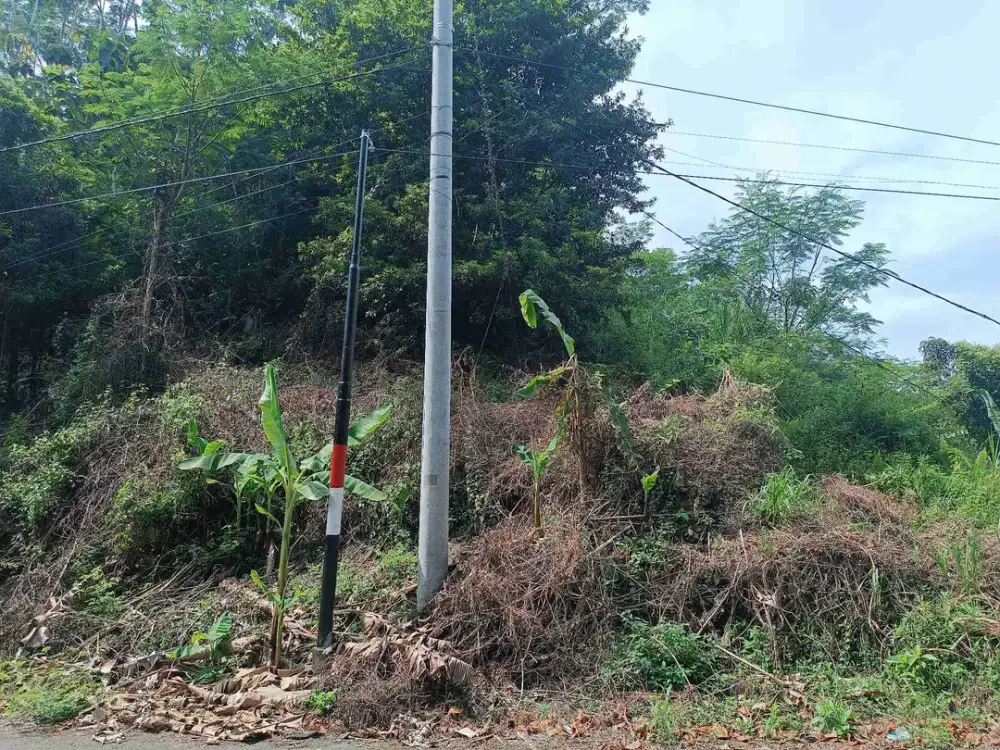 Jual Tanah Darat View pantai Madasari