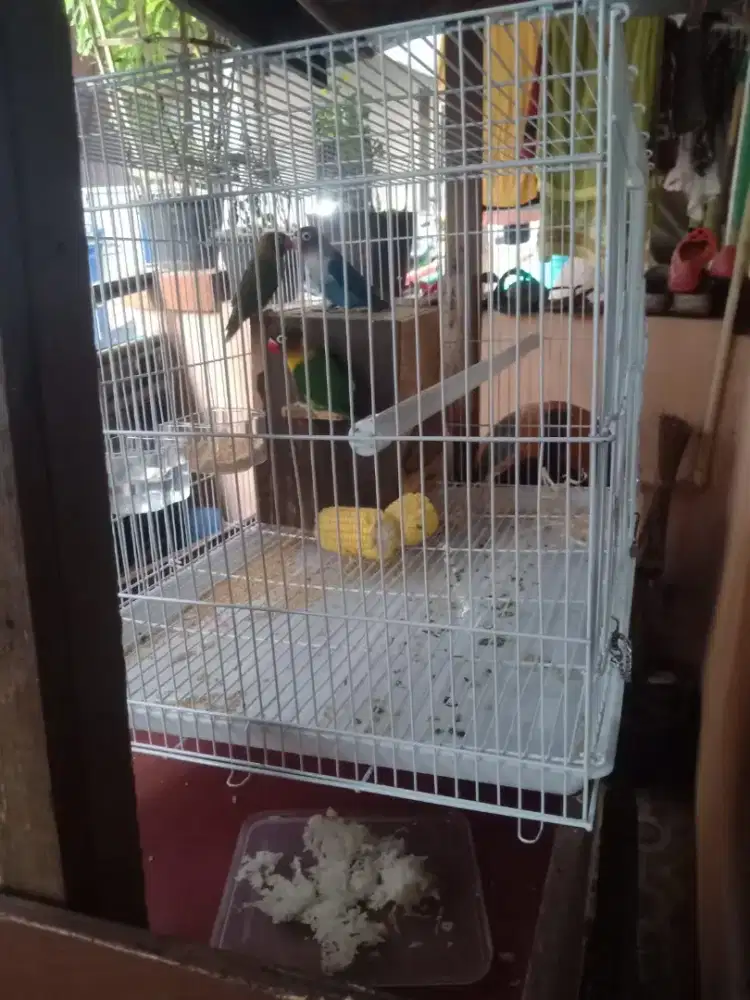KANDANG BURUNG LOVE BIRD MEDIUM