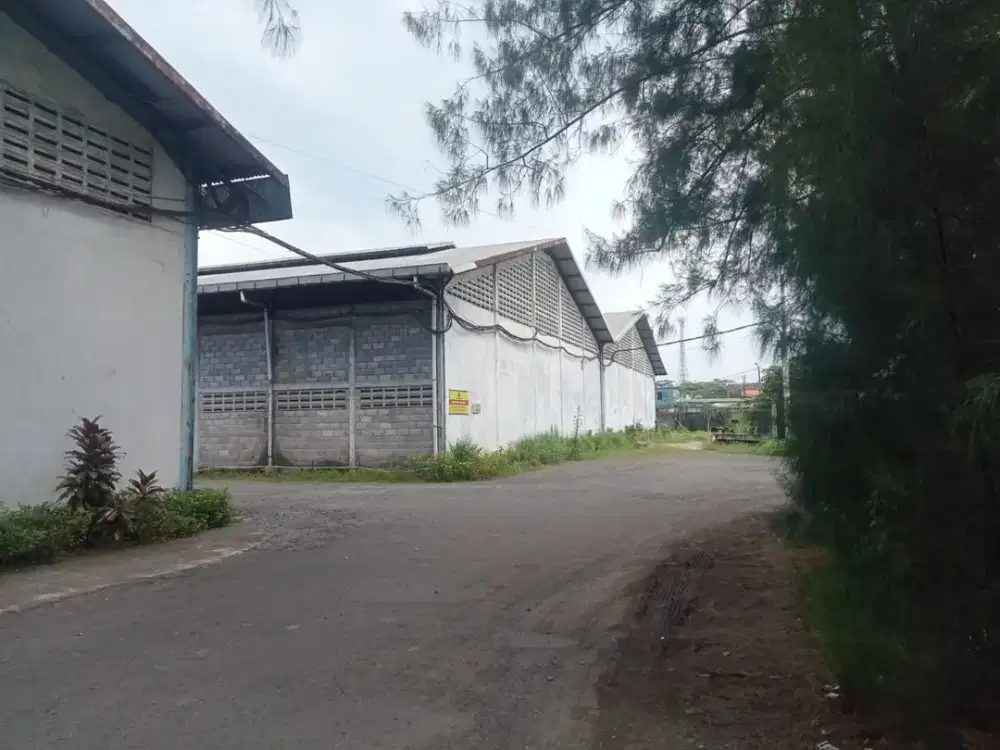 Gudang Raya Candi