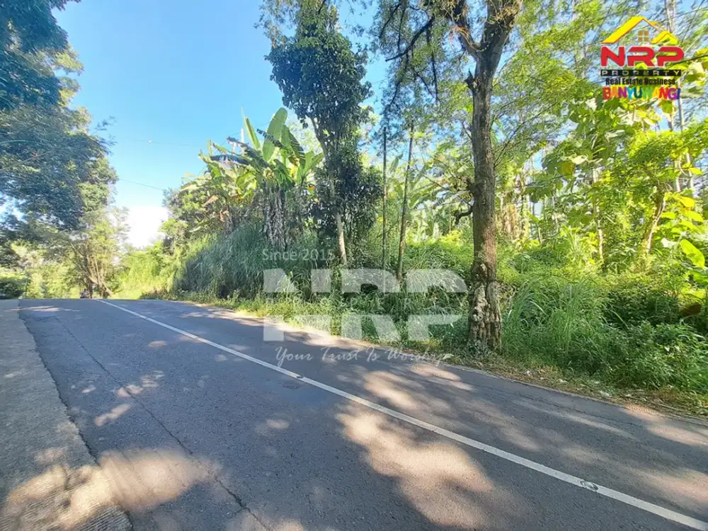 Dijual Tanah Kebun di Jln Raya Ijen - Paspan, Banyuwangi