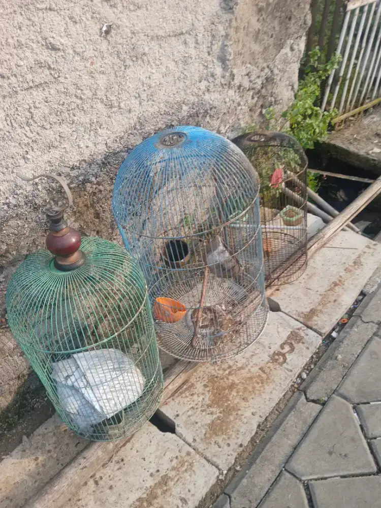Jual kandang bulat gda tebok ny ada 7 bji