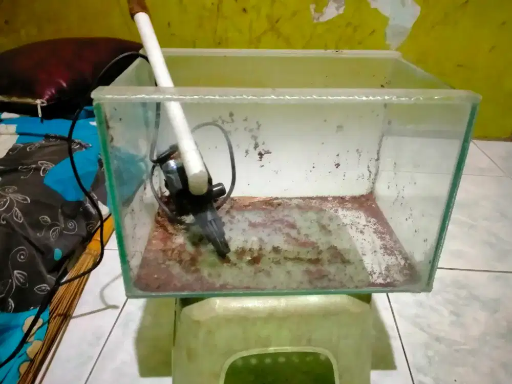 aquarium dan mesin
