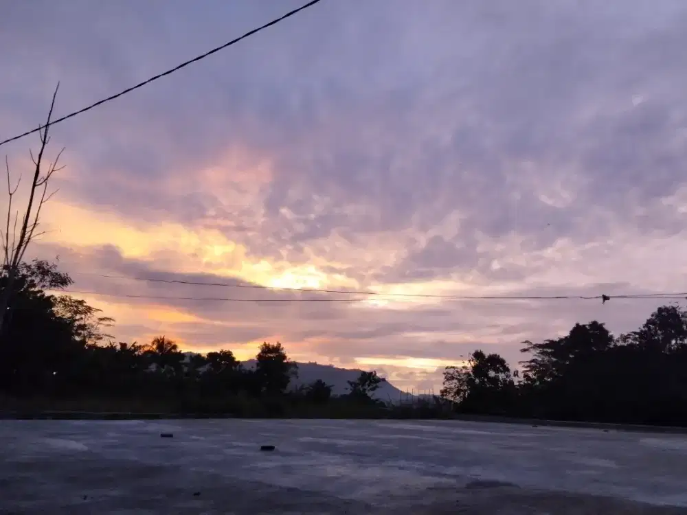 Asisten rumah tangga