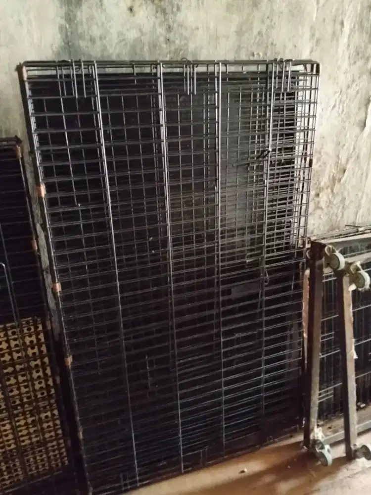Kandang Kucing Oktagon