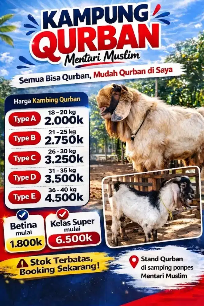 Hewan qurban kambing&domba