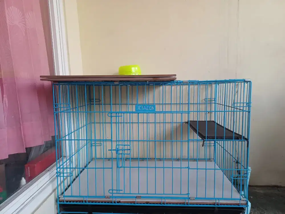 Kandang kucing Octagon besar