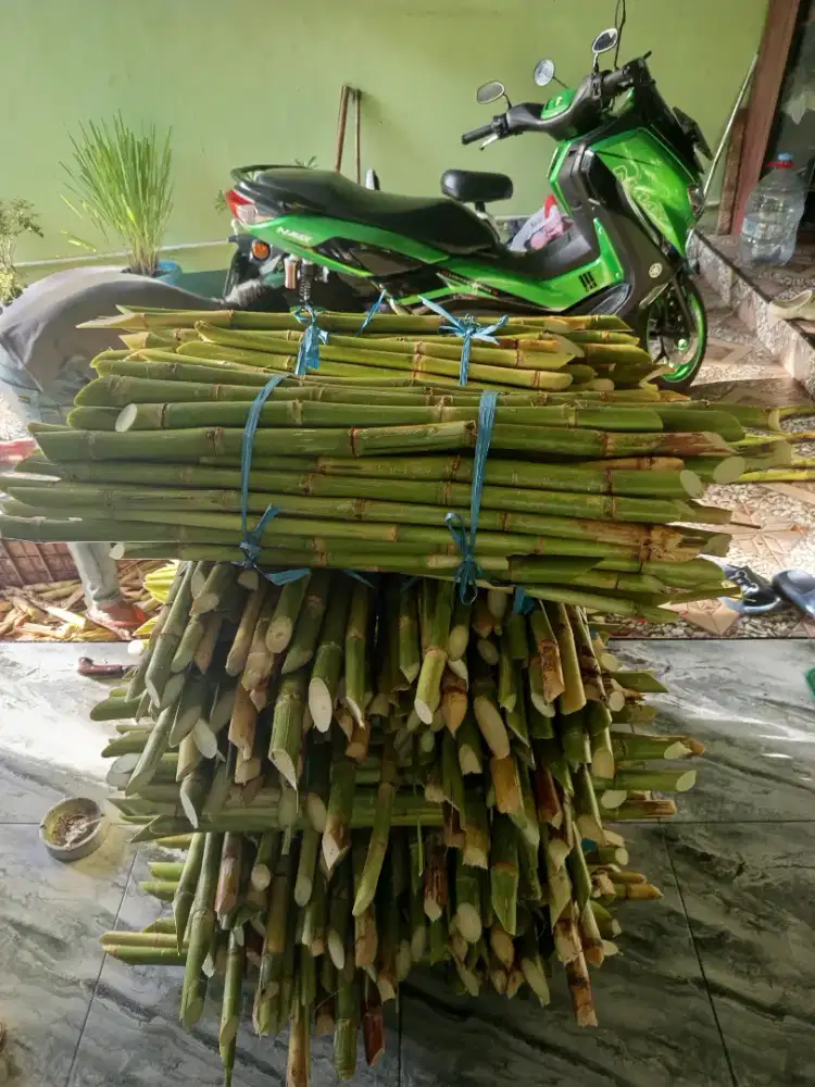 Gerobak mesin tebu