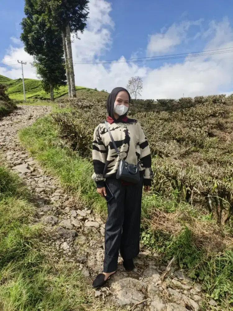 Cari kerja apa saja