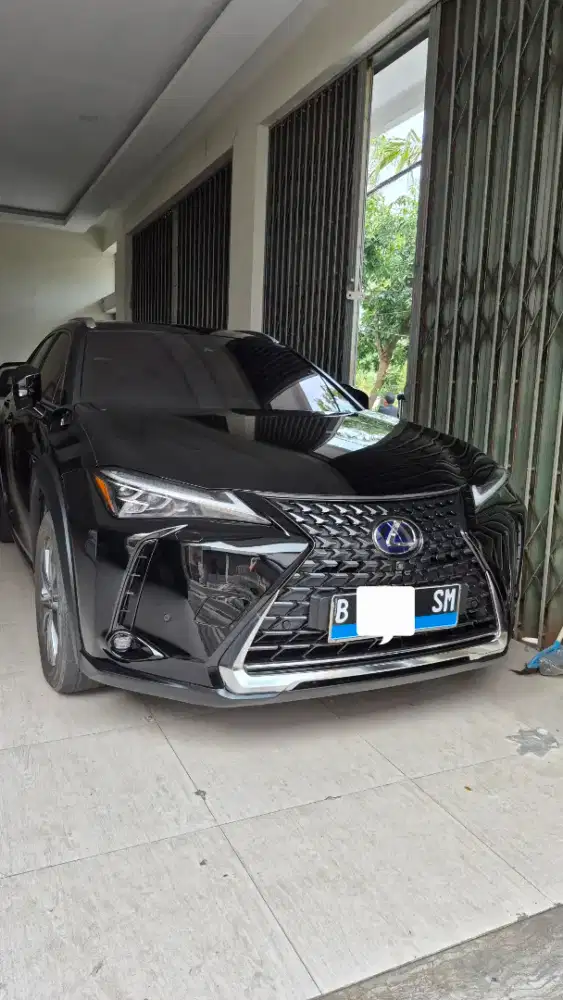 Lexus ux300e listrik ev km 14 rb