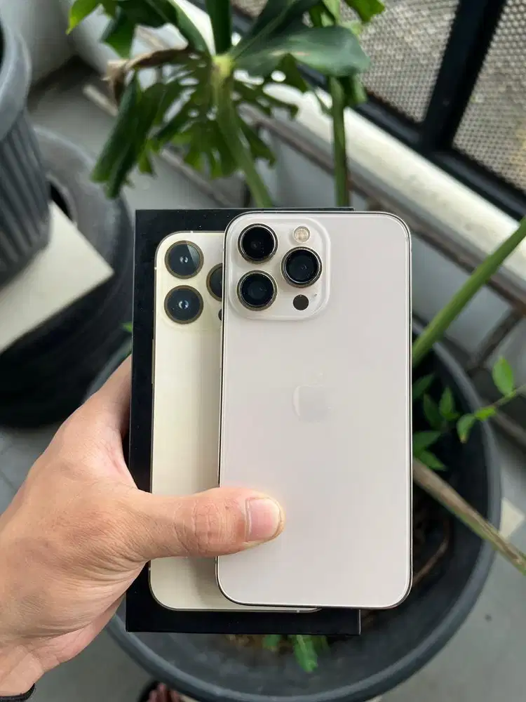 iphone 13 pro 256 beacukai