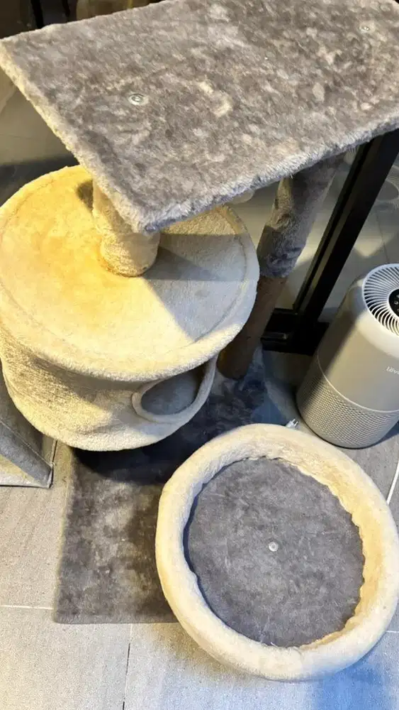 Cat Tree. Get with purchase.