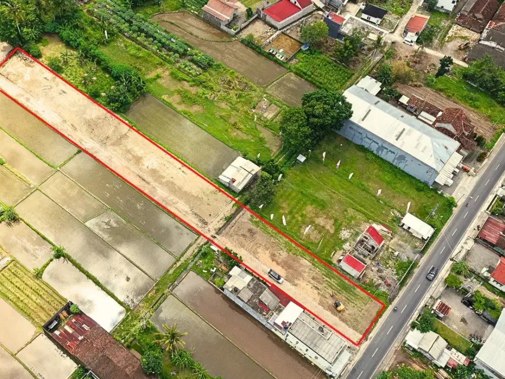 Dijual Tanah Pandowoharjo 300 Jutaan View Merapi & Sawah